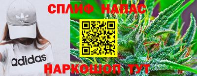 spice Моздок