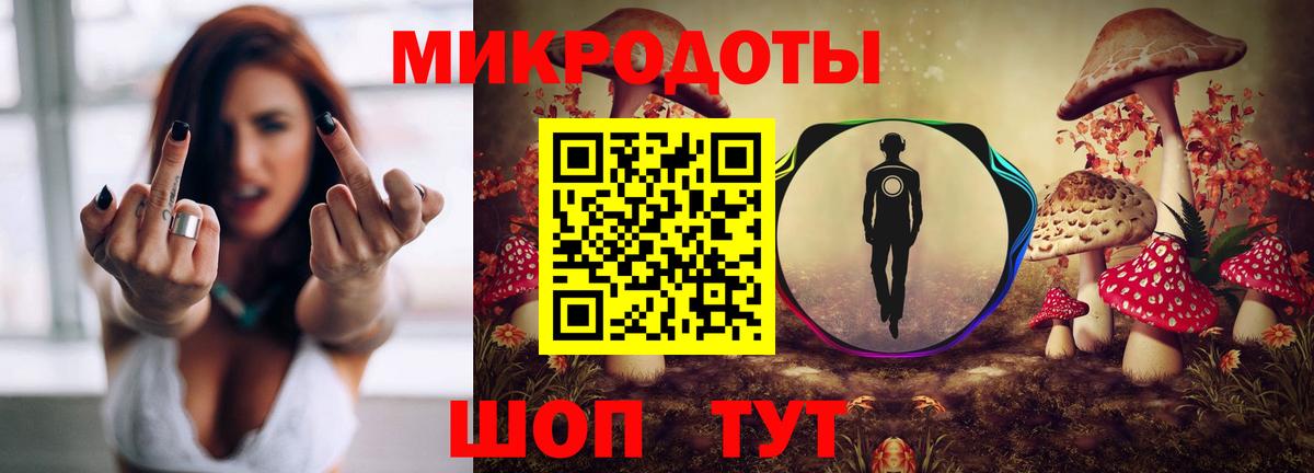 Выборг  Галлюциногенные грибы мицелий  Псилоцибиновые грибы Psilocybe  Вход с VPN 